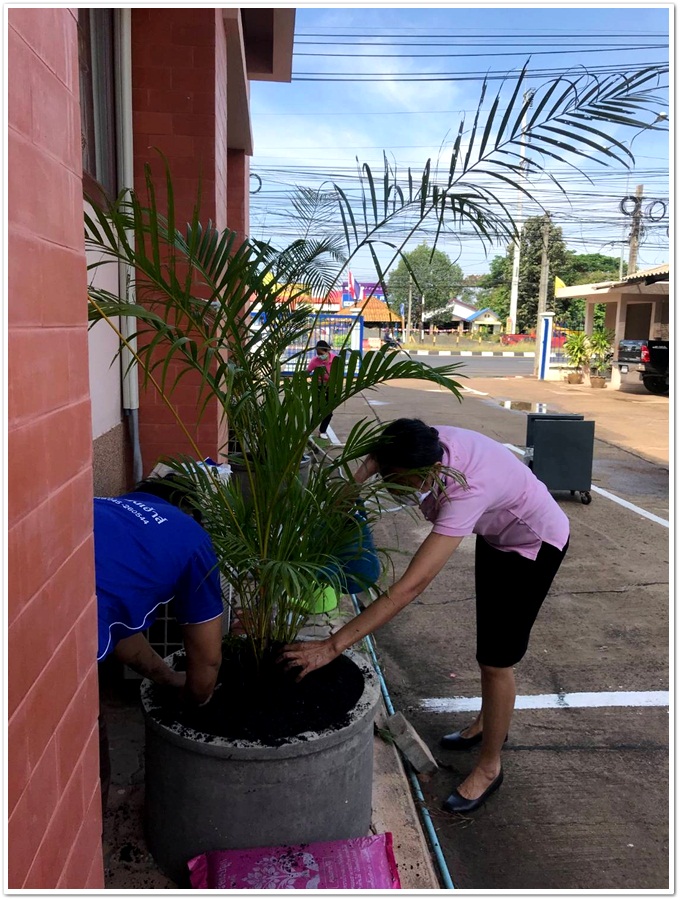 ﻿สำนักงานบังคับคดีจังหวัดอุบลราชธานี สาขาเดชอุดม ร่วมกิจกรรมวันต้นไม้ประจำปีของชาติ พ.ศ. 2564
